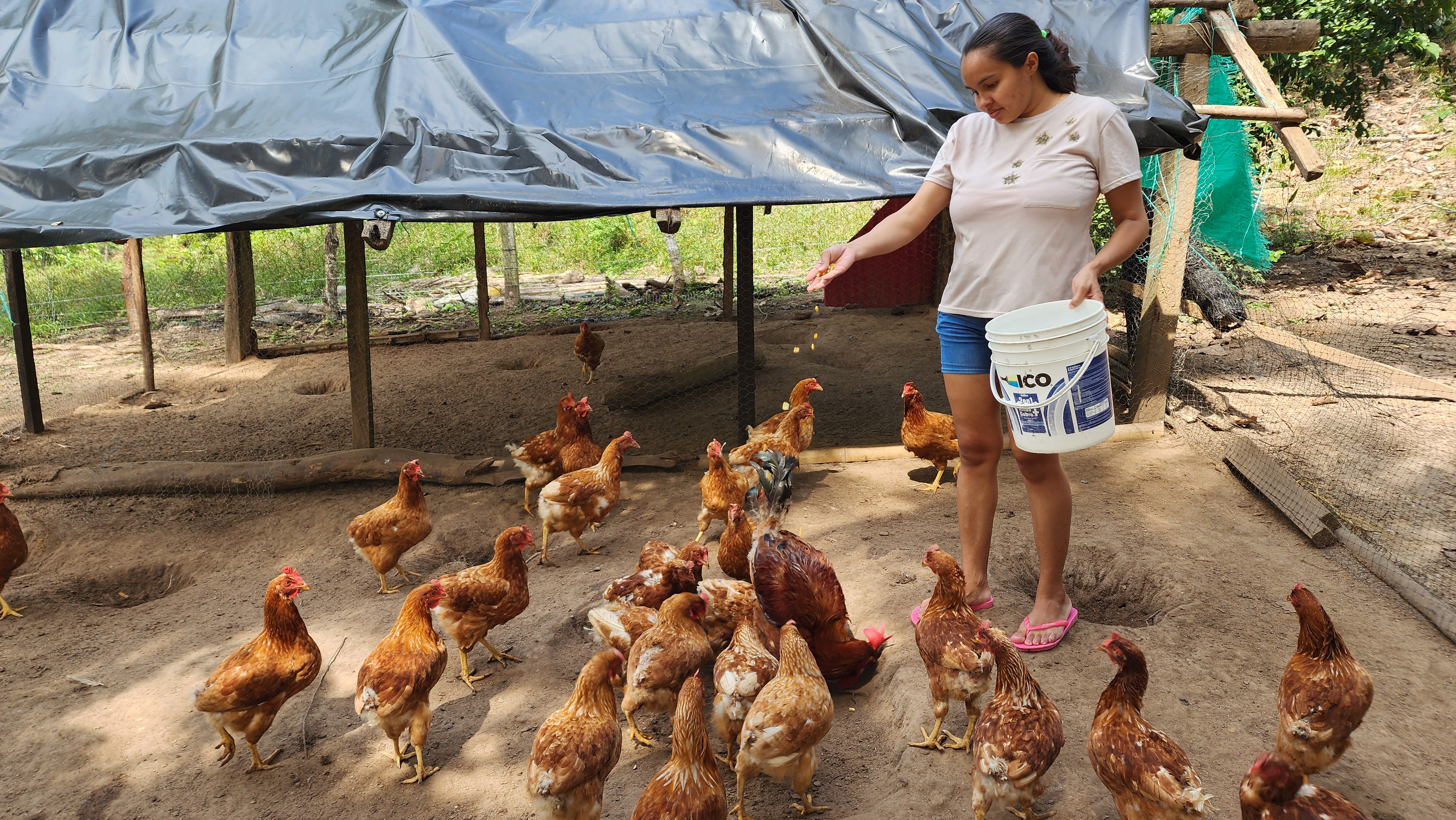 Intervención territorial con enfoque Triple Nexo - 2